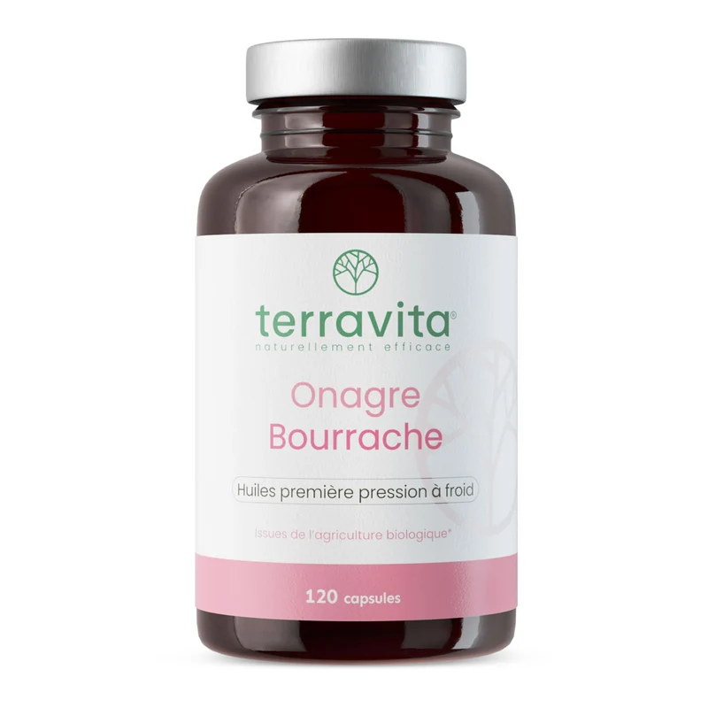 Onagre Bourrache