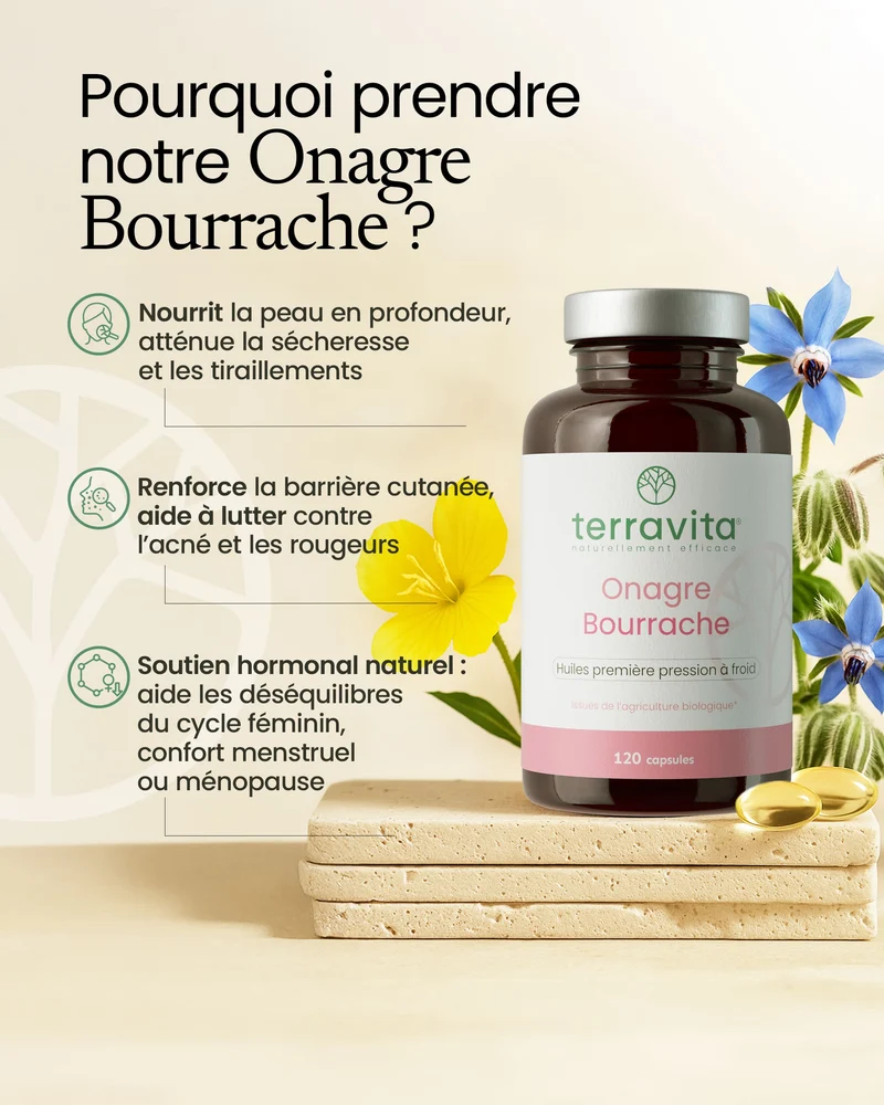 Onagre Bourrache