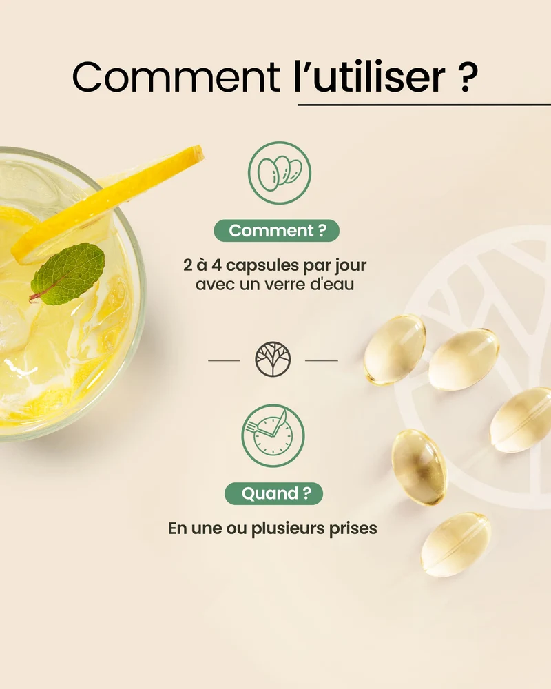 Onagre Bourrache