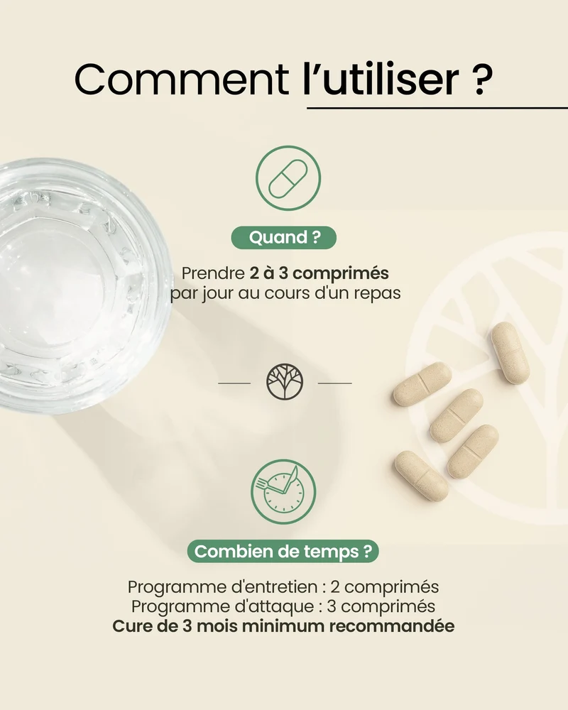 Glucosamine Chondroïtine