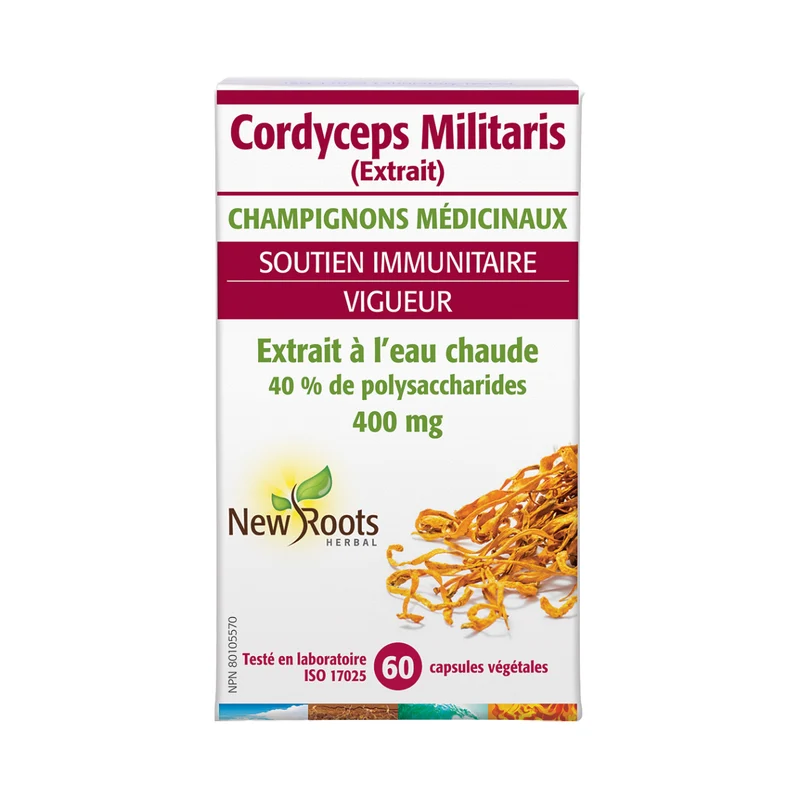 New Roots - Cordyceps Militaris 400 mg Hot-Water Extract | 60 capsules