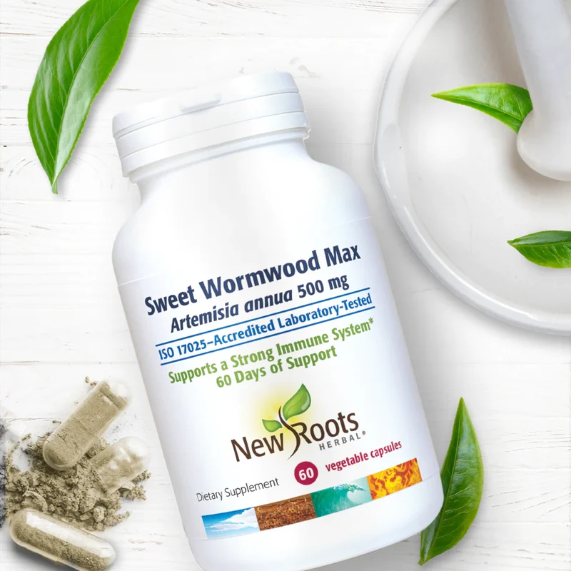 New Roots - Sweet Wormwood Max, Artemisia Annua 500 mg | 60 Vegetable Capsules