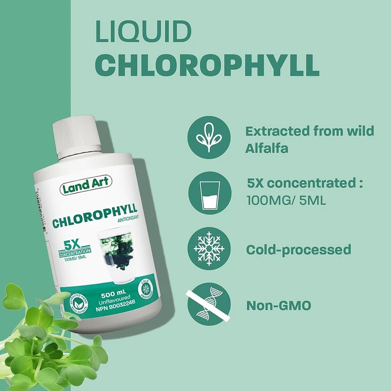 Land Art - Chlorophyll Antioxidant 5X Concentration Unflavoured | 500 mL