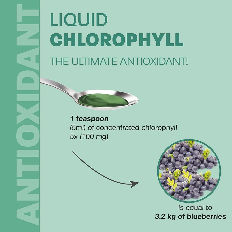 Land Art - Chlorophyll Antioxidant 5X Concentration Unflavoured | 500 mL