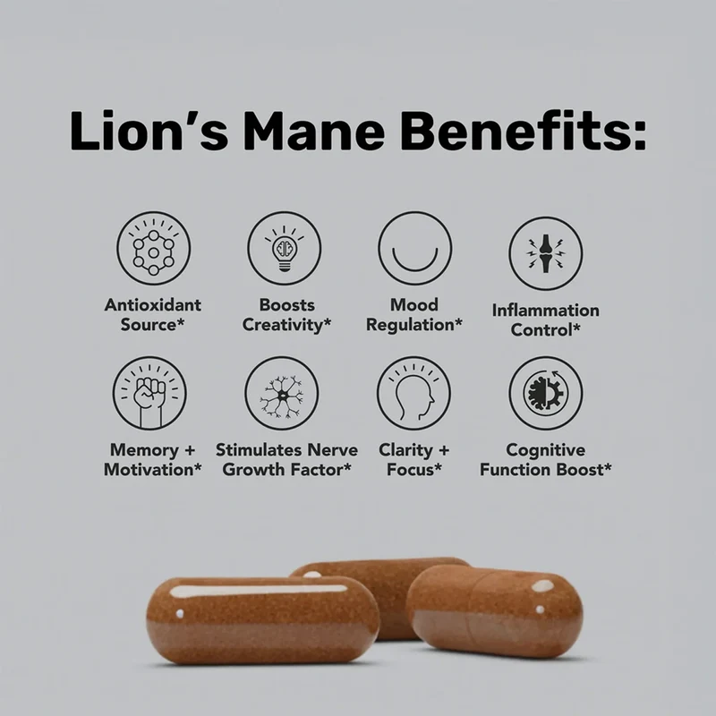Stay Wyld Organics - Lion's Mane | 90 Capsules