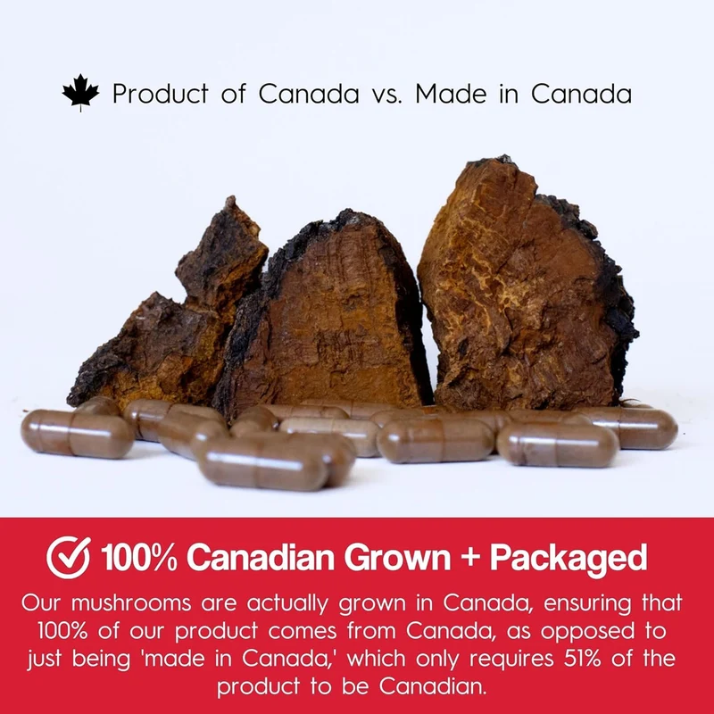 Stay Wyld Organics - Chaga Be Well | 90 Capsules