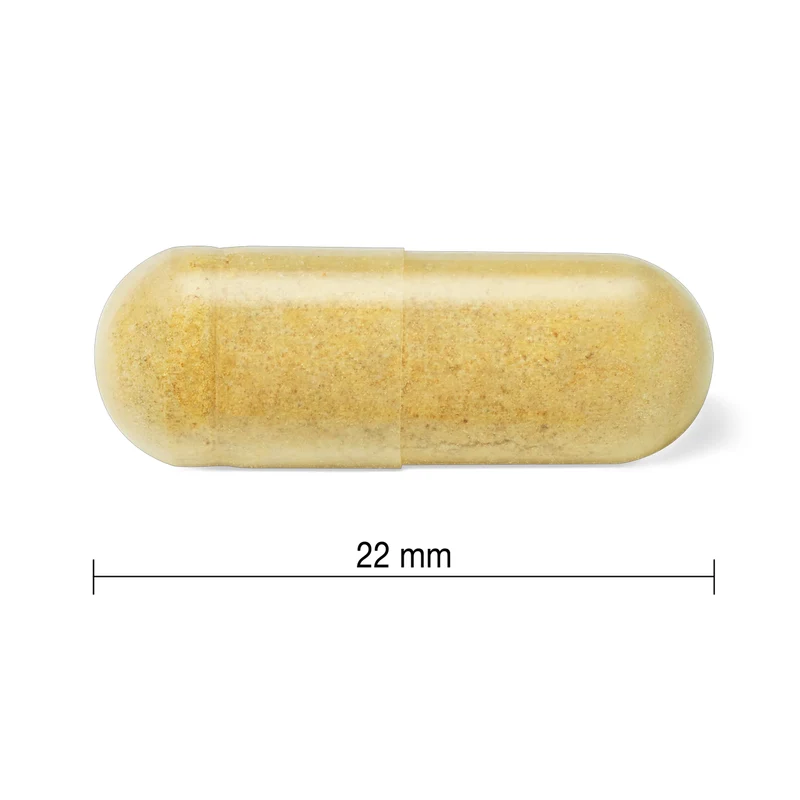 Youtheory - Ashwagandha | 60 Capsules