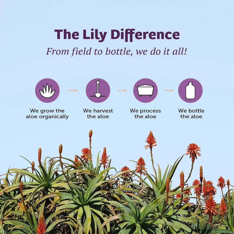 Lily of the Desert - Inner Fillet Aloe Vera Gel | 473 mL