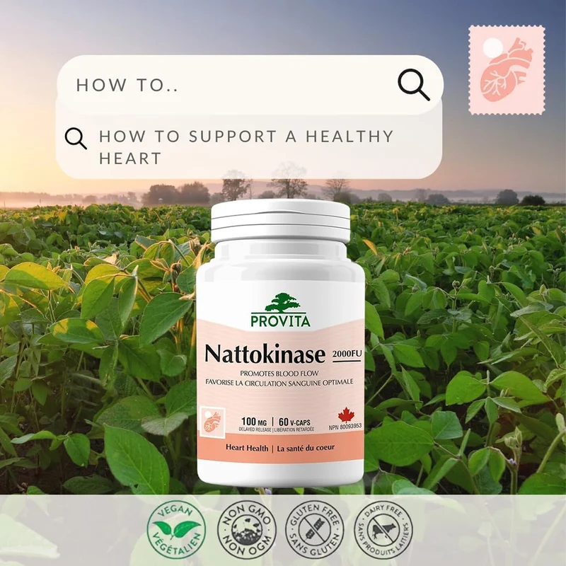 Provita - Nattokinase 2000 FU Heart Health | 60 Veggie Capsules