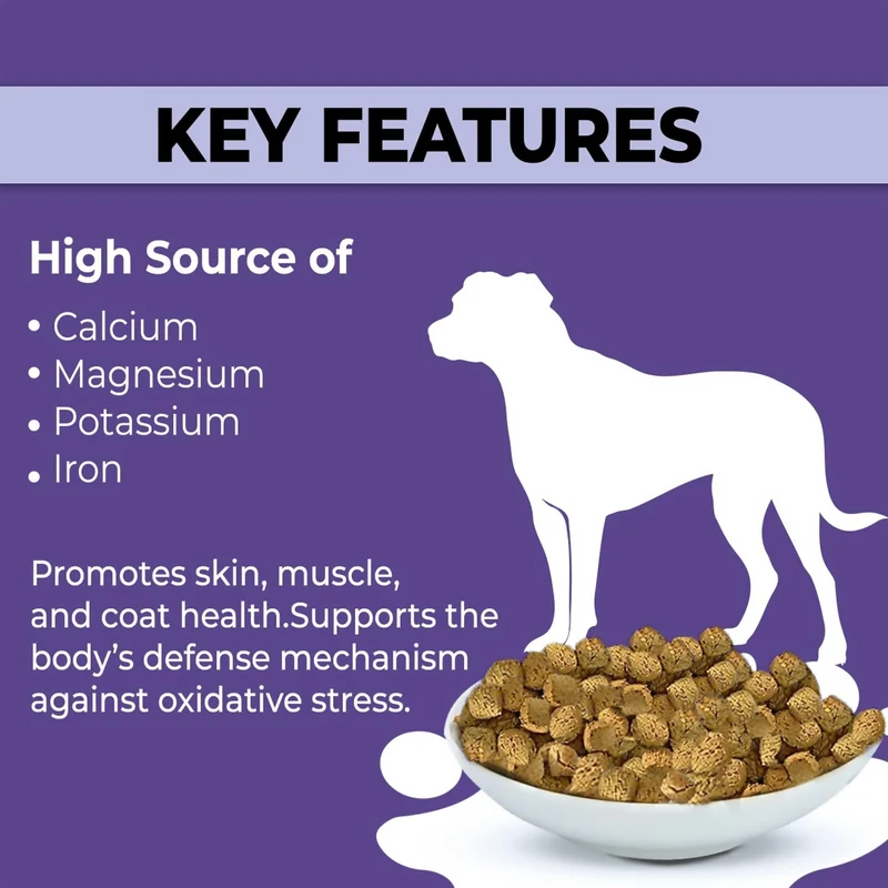 Foley's - Premium Baked Dog Treats - Lamb With Apple | 400 g