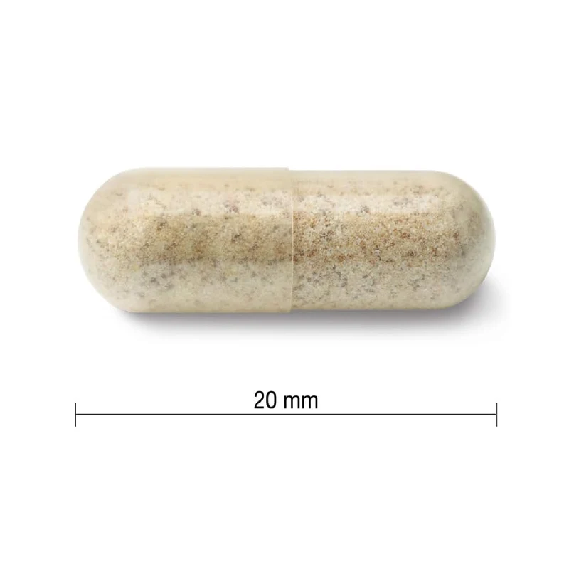 Jamieson - Extra Strength Organic Echinacea 1200 mg | 120 Capsules