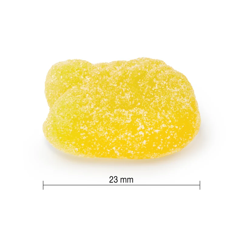 Jamieson - Omega 3 Gummy Vitamins - Family Friendly - Assorted Citrus Flavours | 90 Gummies