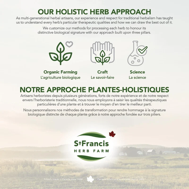 St. Francis - Castor Oil, Therapeutic Body Care | 500 mL