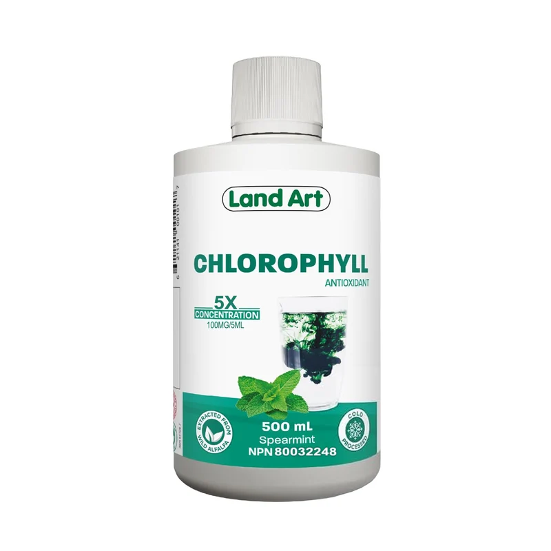 Land Art Chlorophyll 5X Liquid, Spearmint Flavor | 500 mL