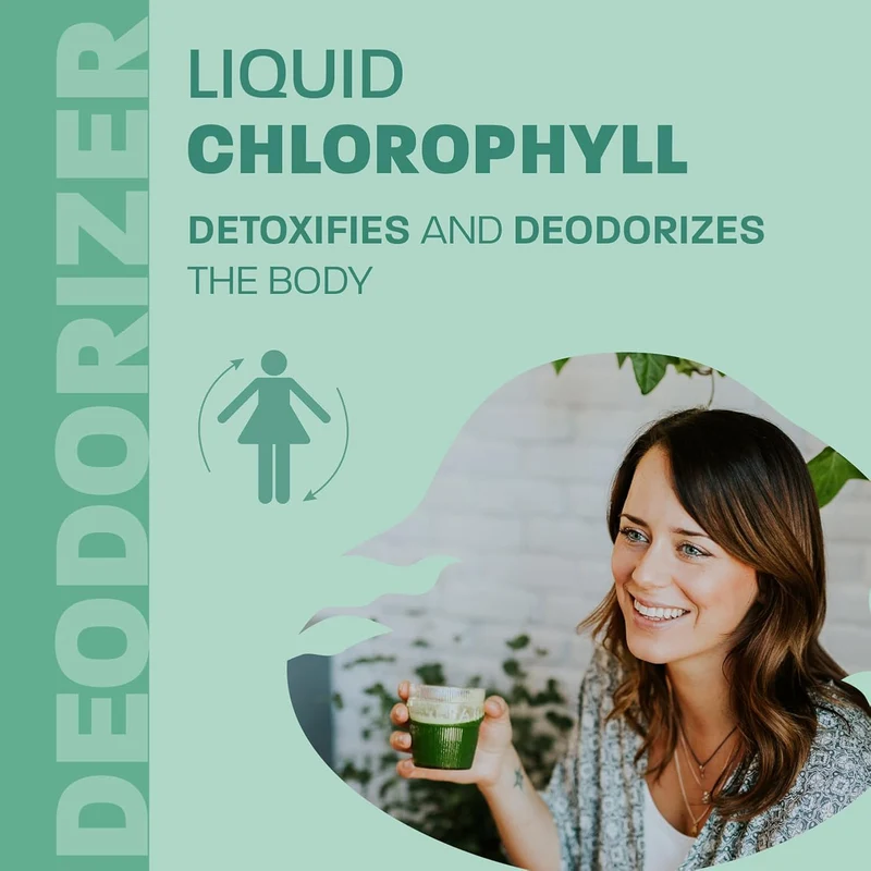 Land Art Chlorophyll 5X Liquid, Spearmint Flavor | 500 mL