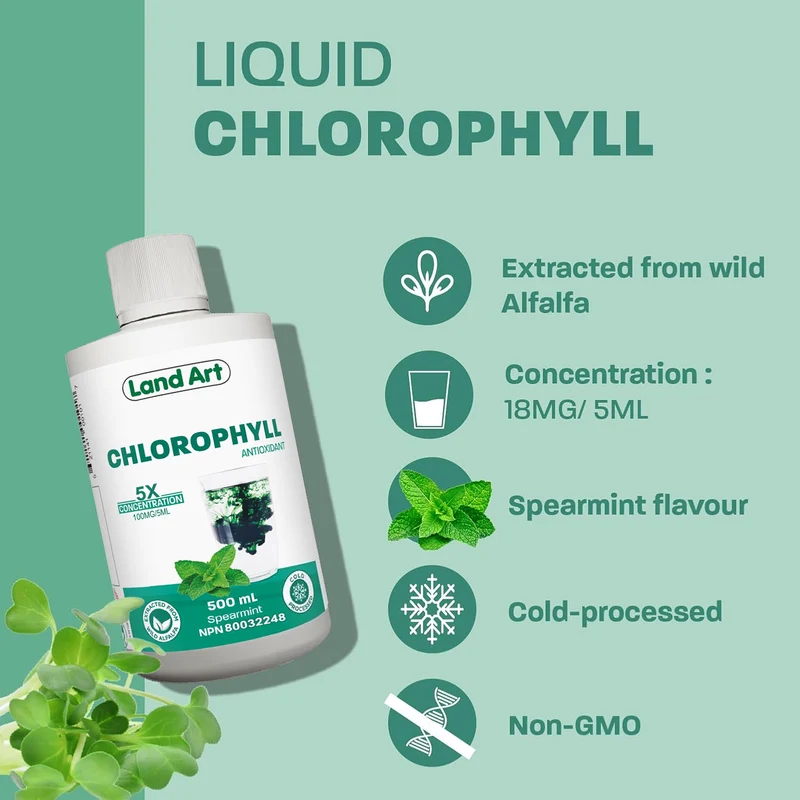Land Art Chlorophyll 5X Liquid, Spearmint Flavor | 500 mL