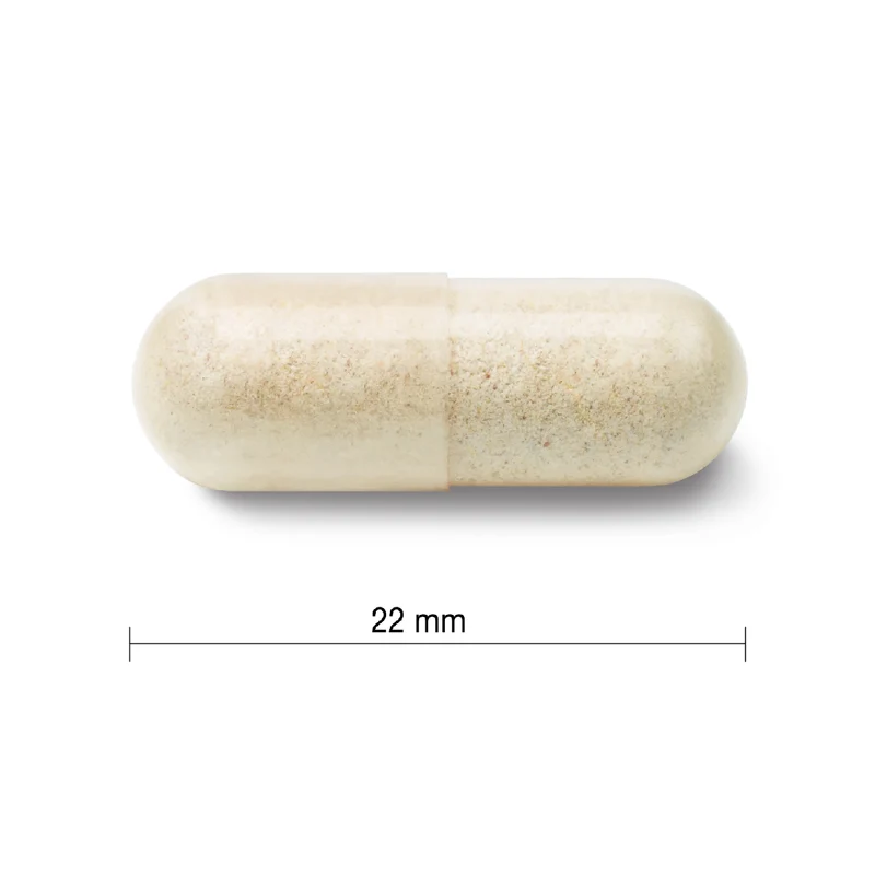 Jamieson - Ultra Strength 60 Billion Probiotic | 24 Vegetarian Capsules