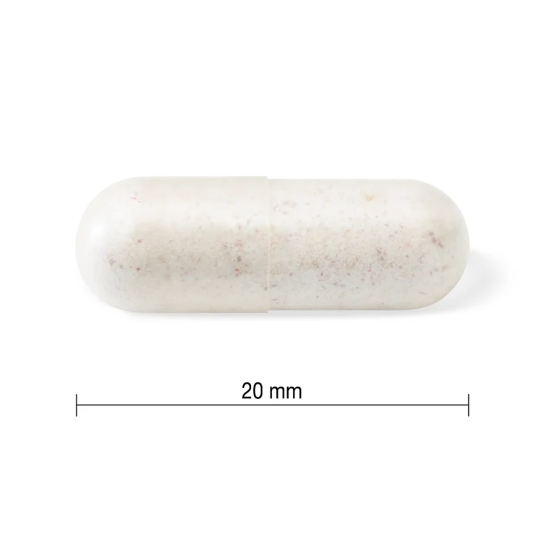 Jamieson - Daily Maintenance 10 Billion Probiotic | 60 Vegetarian Capsules