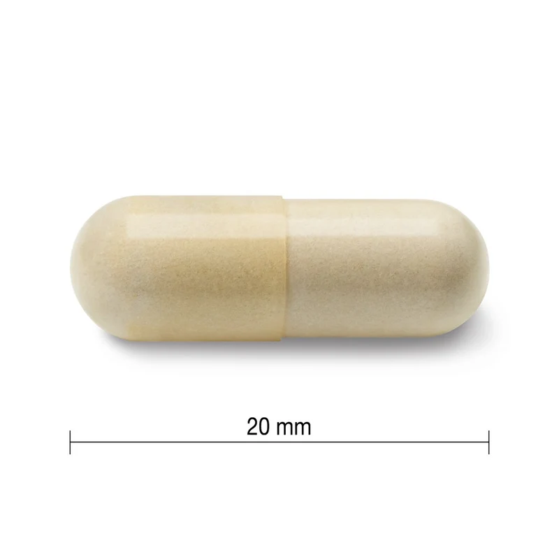 Jamieson - Glucosamine 500 mg | 360 Capsules