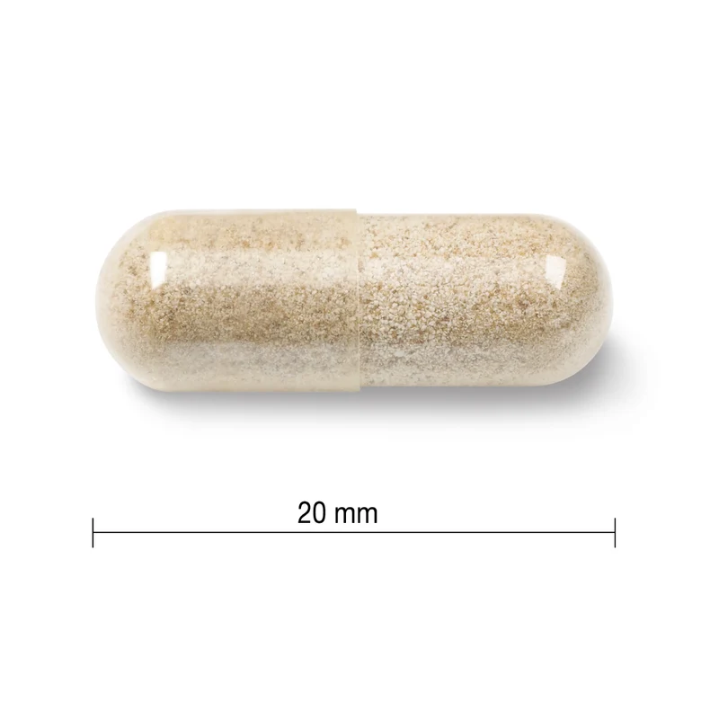 Jamieson - Gentle Iron 28 mg | 90 Vegetarian Capsules