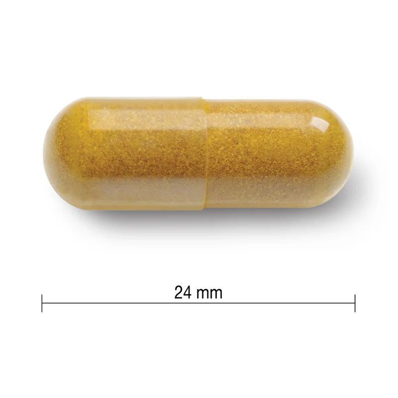 Jamieson - Curcumin Turmeric, 550mg | 60 Vegetarian Capsules