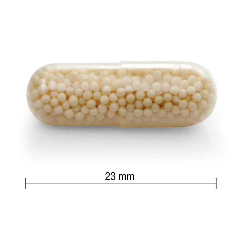 Jamieson - Vitamin C 500 mg, Timed Release | 100 Capsules