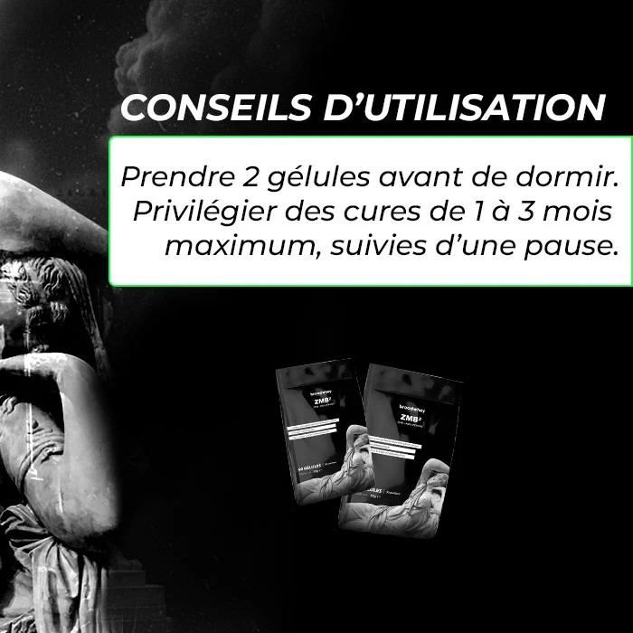 ZMB COMPLEXE