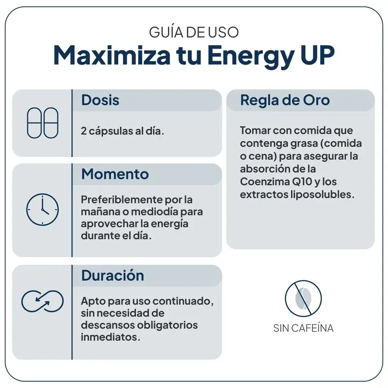 Ivb Wellness Lab Energy Up, 60 capsules