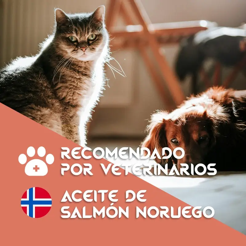 Togo Salmon Oil, 250 ml